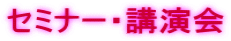 ���ߥʡ����ֱ��